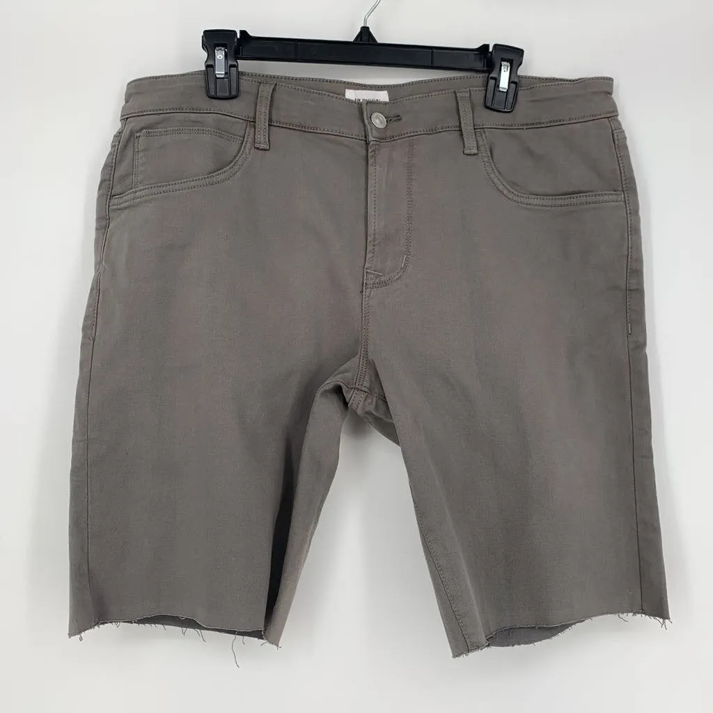 Hudson Shorts NWT