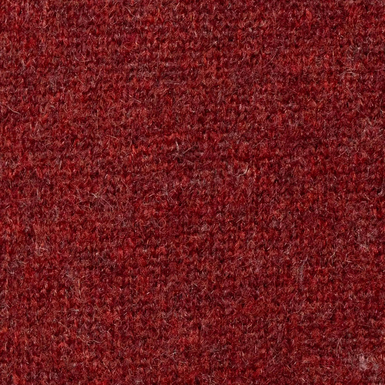 INSIGNIA KNITTED PANTS | BORDEAUX