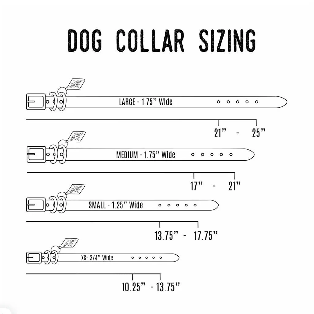 Leather Dog Collar - Black