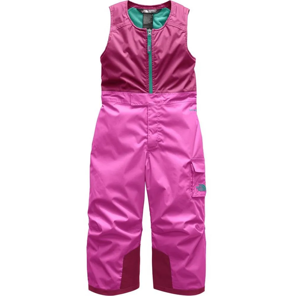 The North Face Insulated Bib Pants For Toddlers